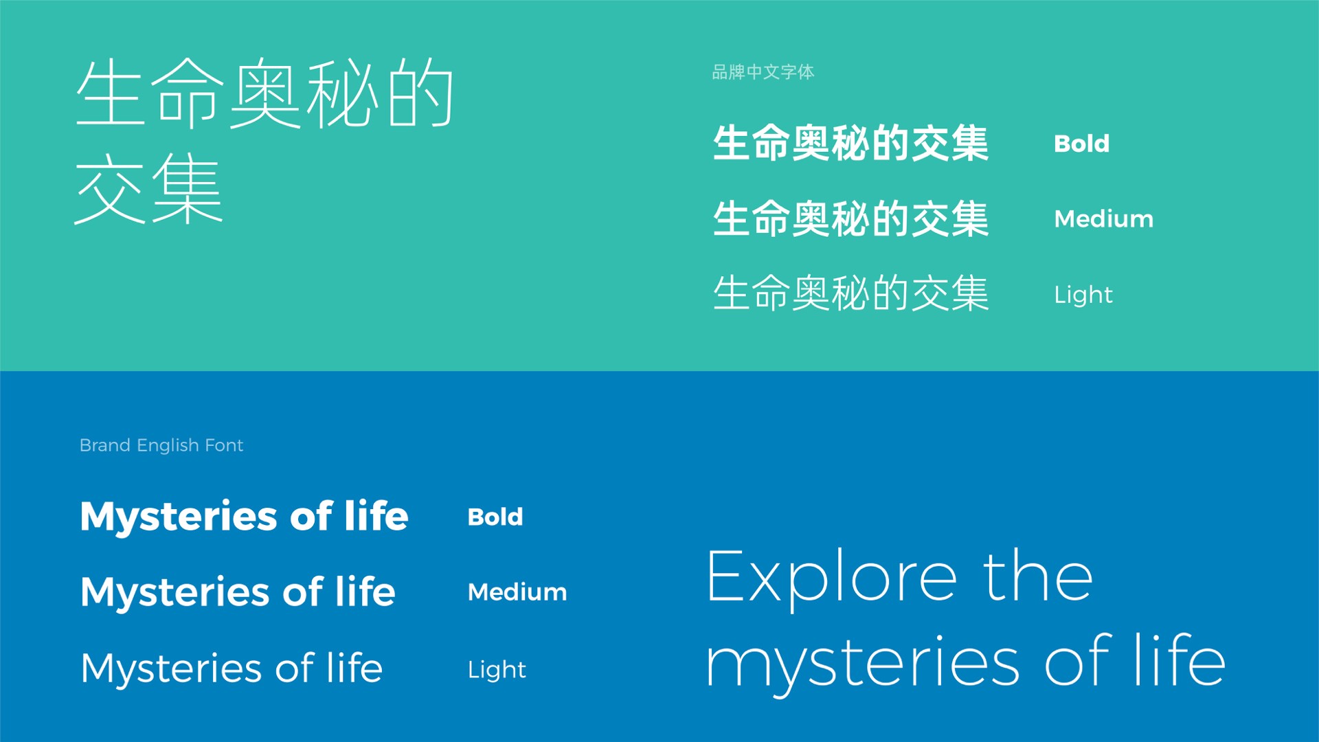 3醫(yī)療字體.jpeg 3醫(yī)療字體.jpeg