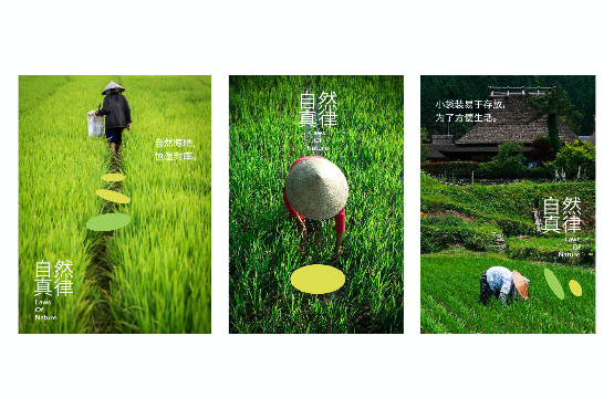 VI設(shè)計在農(nóng)產(chǎn)品品牌中的角色-傳遞自然與健康的視覺語言